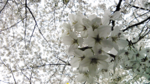 Image428-02.png