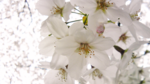 Image430-02.png