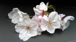 Image432.jpg